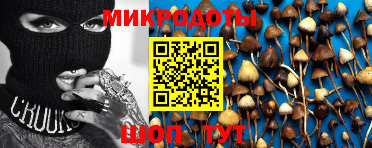 Амурск  Псилоцибиновые грибы Magic Shrooms  Вход с VPN  Псилоцибиновые грибы Psilocybe 