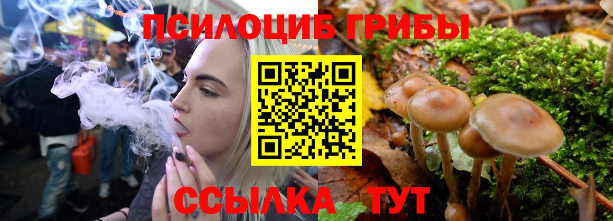 APVP Амурск